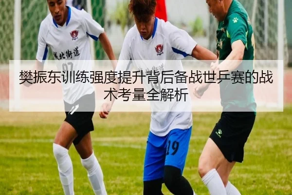 樊振东训练强度提升背后备战世乒赛的战术考量全解析