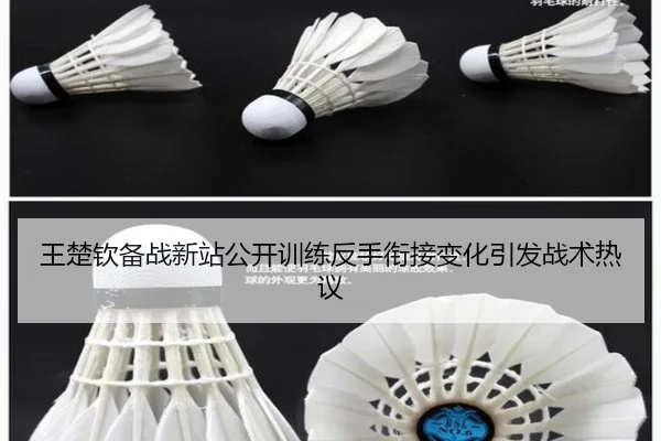 王楚钦备战新站公开训练反手衔接变化引发战术热议